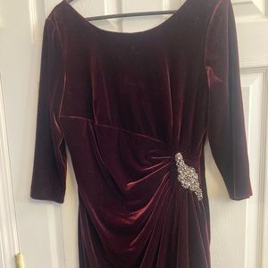 Beautiful Alex evening velvet dress
